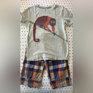Tea Collection Gray Spider Monkey Tee with Multicolor Plaid Boden Shorts